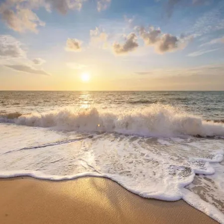 In North Holland Near *