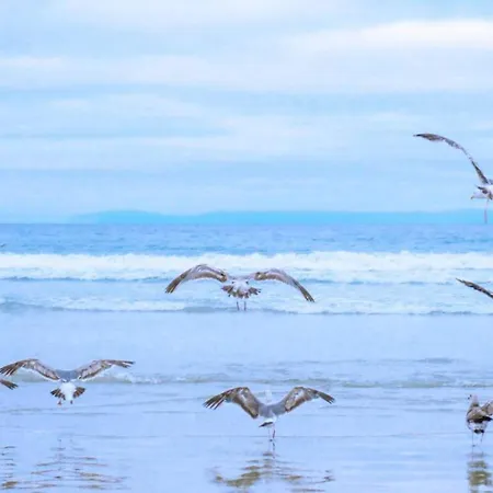 In North Holland Near De Zandloper