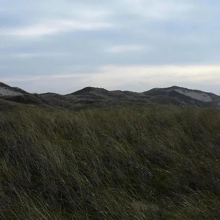 With Garden Near The North Sea *