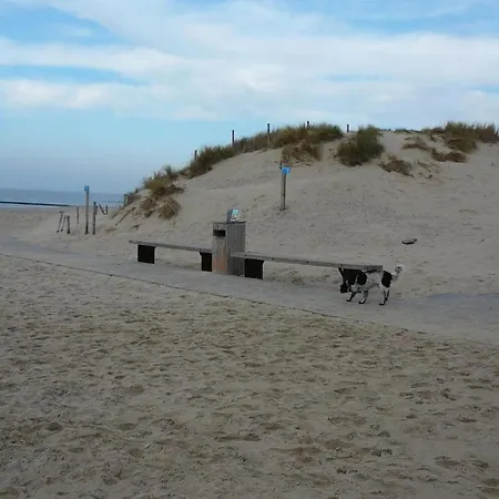With Garden Near The North Sea Апартаменты *