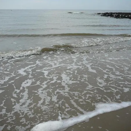 With Garden Near The North Sea *