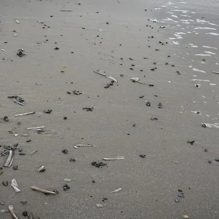 In North Holland Near